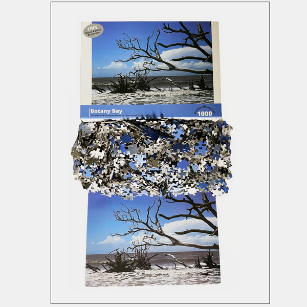 Boneyard Beach 1000 Piece Jigsaw Puzzle