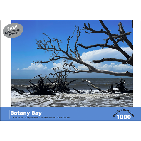 Boneyard Beach 1000 Piece Jigsaw Puzzle