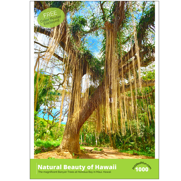 Banyan Trees of Hawaii 1000 Piece Jigsaw Puzzle